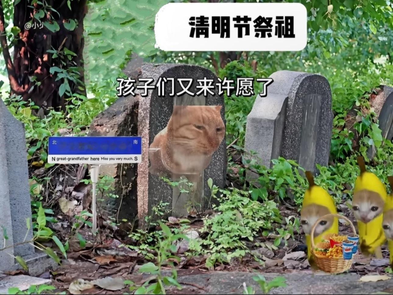 怪不得老祖宗这么喜欢许愿原来不是迷信，是普通人漫长苦日子里，唯一不用花钱的救赎。