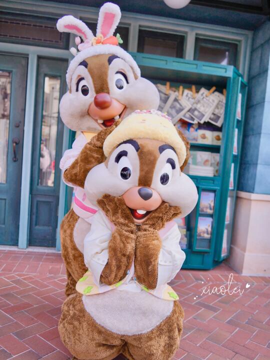🎉Happy birthday to chip&dale