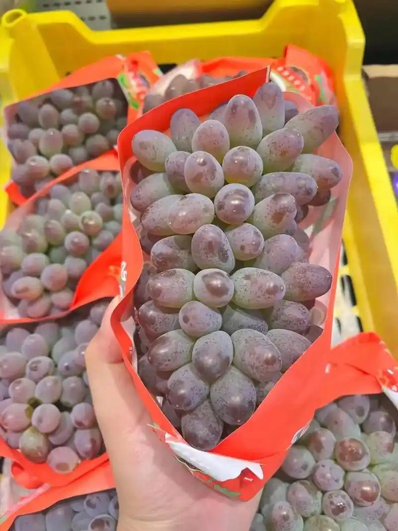 夏日水果🍇茉莉香葡萄值得吃！
被称为「葡萄界香水」的茉莉香葡萄，一口直接封神！