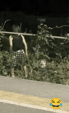 我一直看不懂 ，
小姐姐是在干什么？
感觉很厉害的样子。