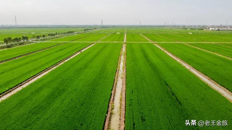 农民当然不只有打工这一条出路。以前，传统农业靠天吃饭，农民辛苦一年也没多少收入。