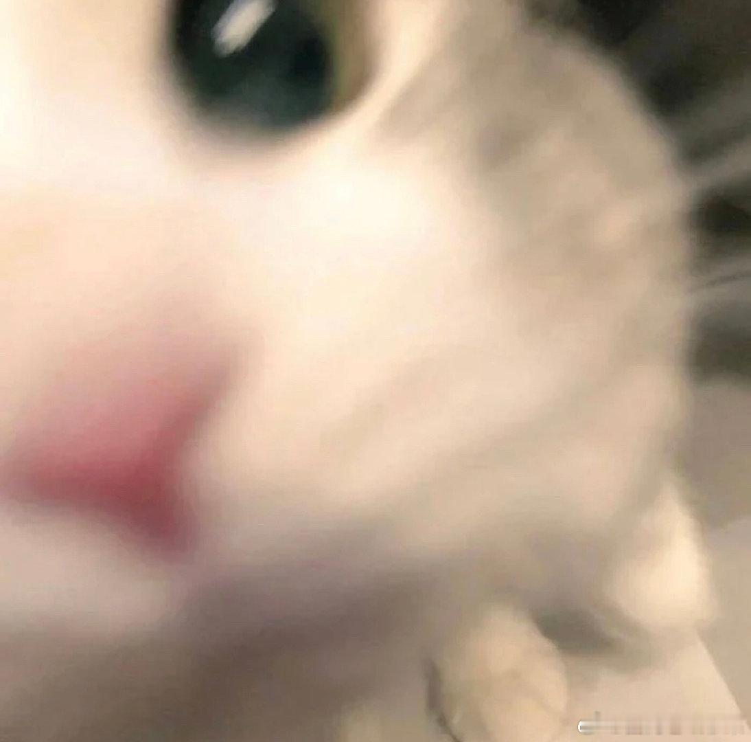 #邓亚萍说中国乒乓梯队建设从未断代#中国乒乓球队凭借着自己的实力，多次在大型比赛