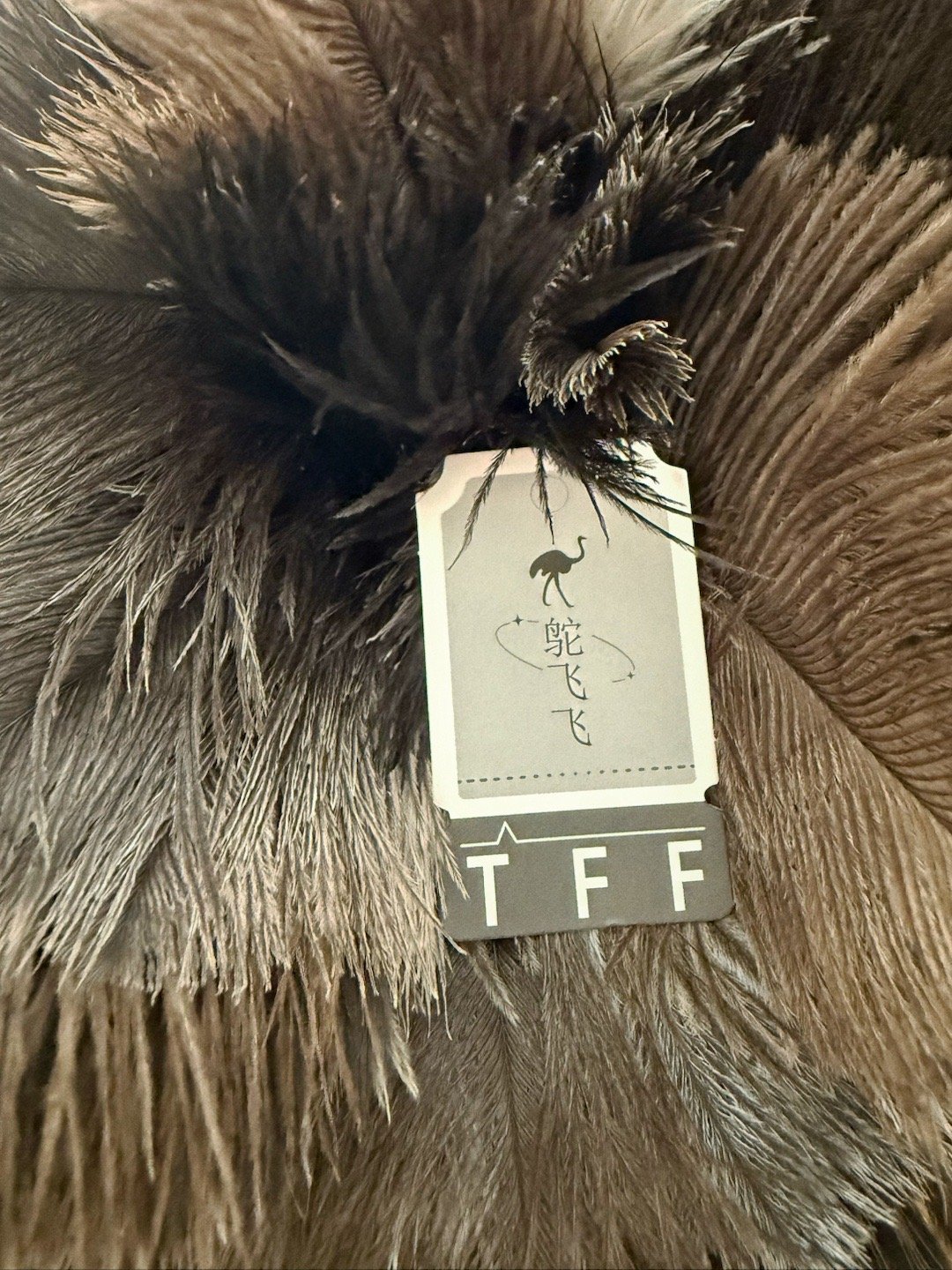 不能一直白嫖鸵鸟直播，So 下单一把，主播说可以直接插花瓶（不是自诩为花瓶的那种