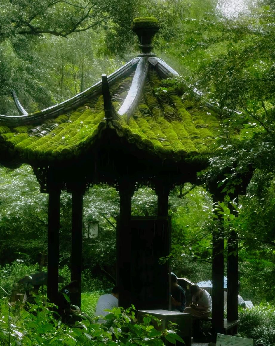 李玟九个亿都没有得到爱，国际章都驾驭不了汪皮裤，琼瑶写了一辈子爱情到最后自己的爱