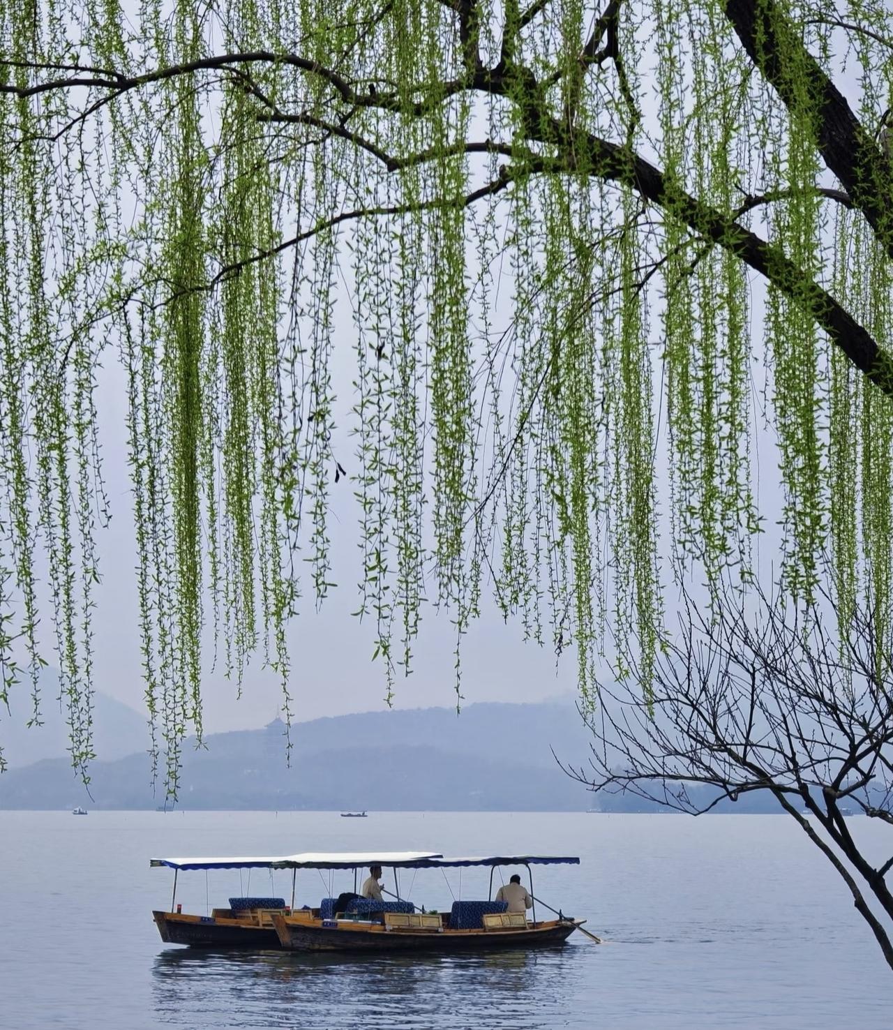 相册里最满意的照片柳暗花明