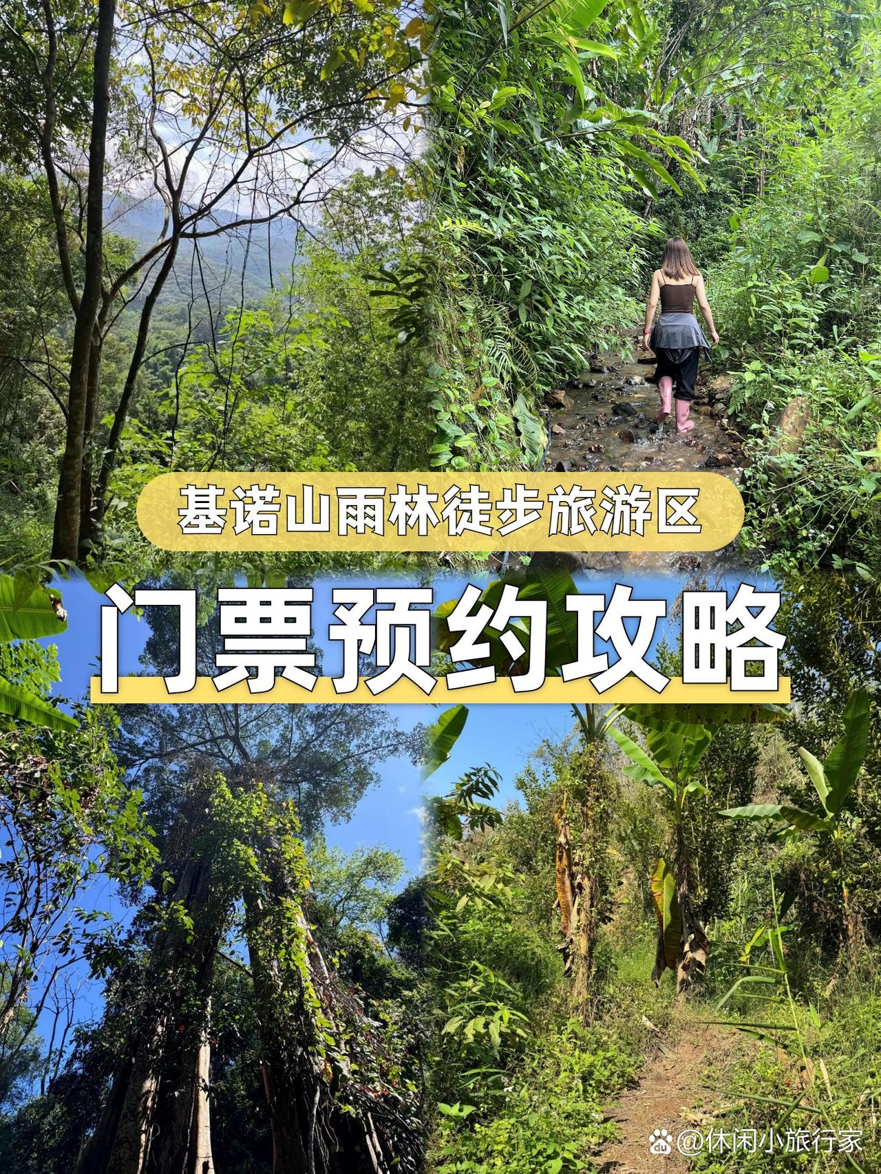 雨林徒步秘境｜基诺山门票攻略

谁懂！在原始雨林里徒步是什么体验？🌿刚从基诺山