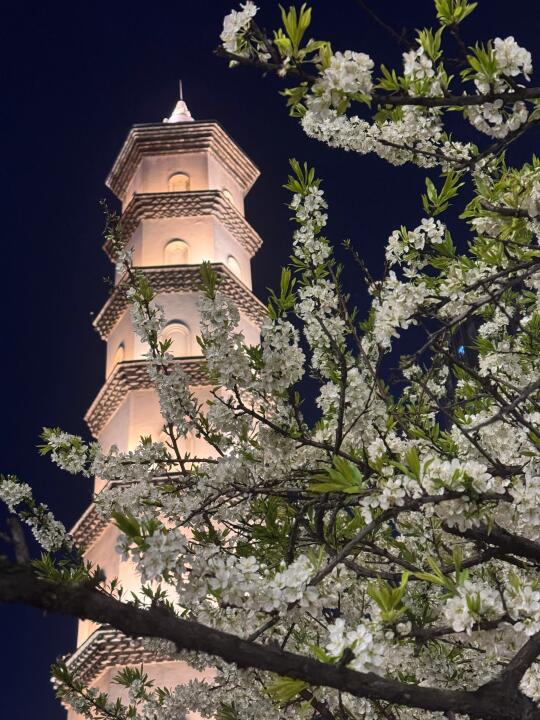 不敢想象我要是会拍照会有多美……成都！！
