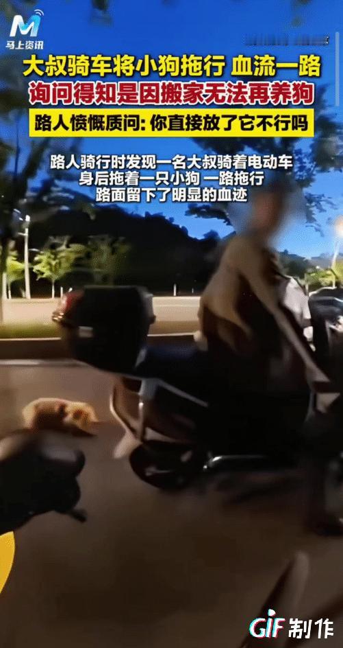 深夜城郊小路，一名大叔骑电动车拖行小狗，血迹沿路蔓延触目惊心。
 
夜骑男子偶然