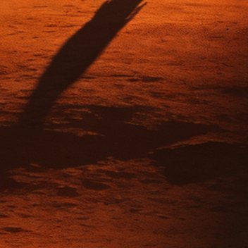  汗水落尽，疲惫归零，晚安，明天继续为热爱奔跑。 