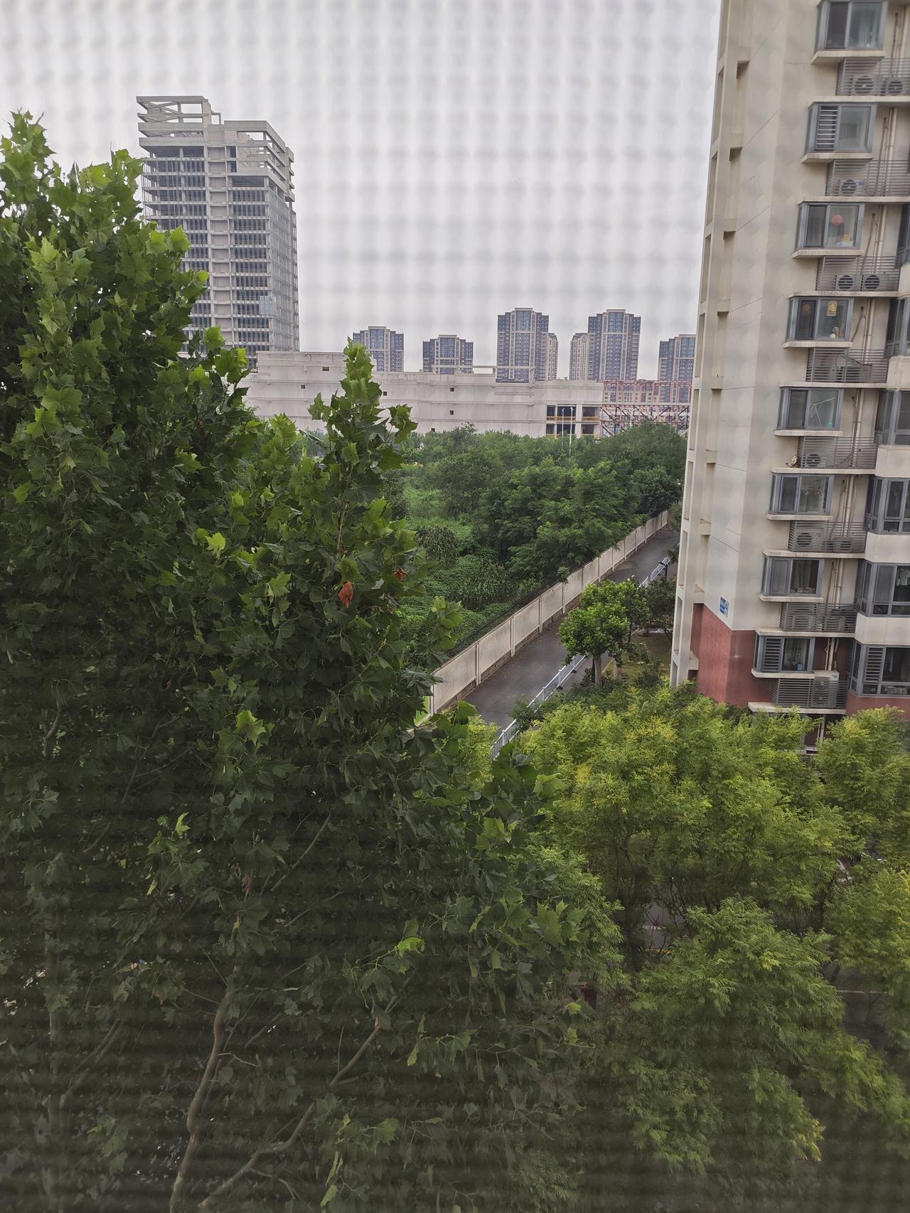 真是家家有本难念的经啊。

我真是后悔当初找对象的时候不应该找家里孩子多的，这老