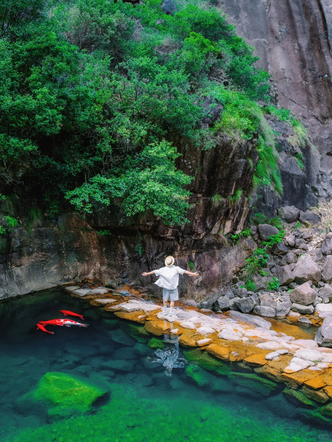 玩水避暑森林徒步全都行‼️丽水这条线太绝了