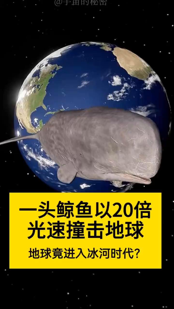 一头鲸鱼以20倍光速撞击地球，地球竟进入冰河时代？
于曲的秘密。
一头鲸鱼以20
