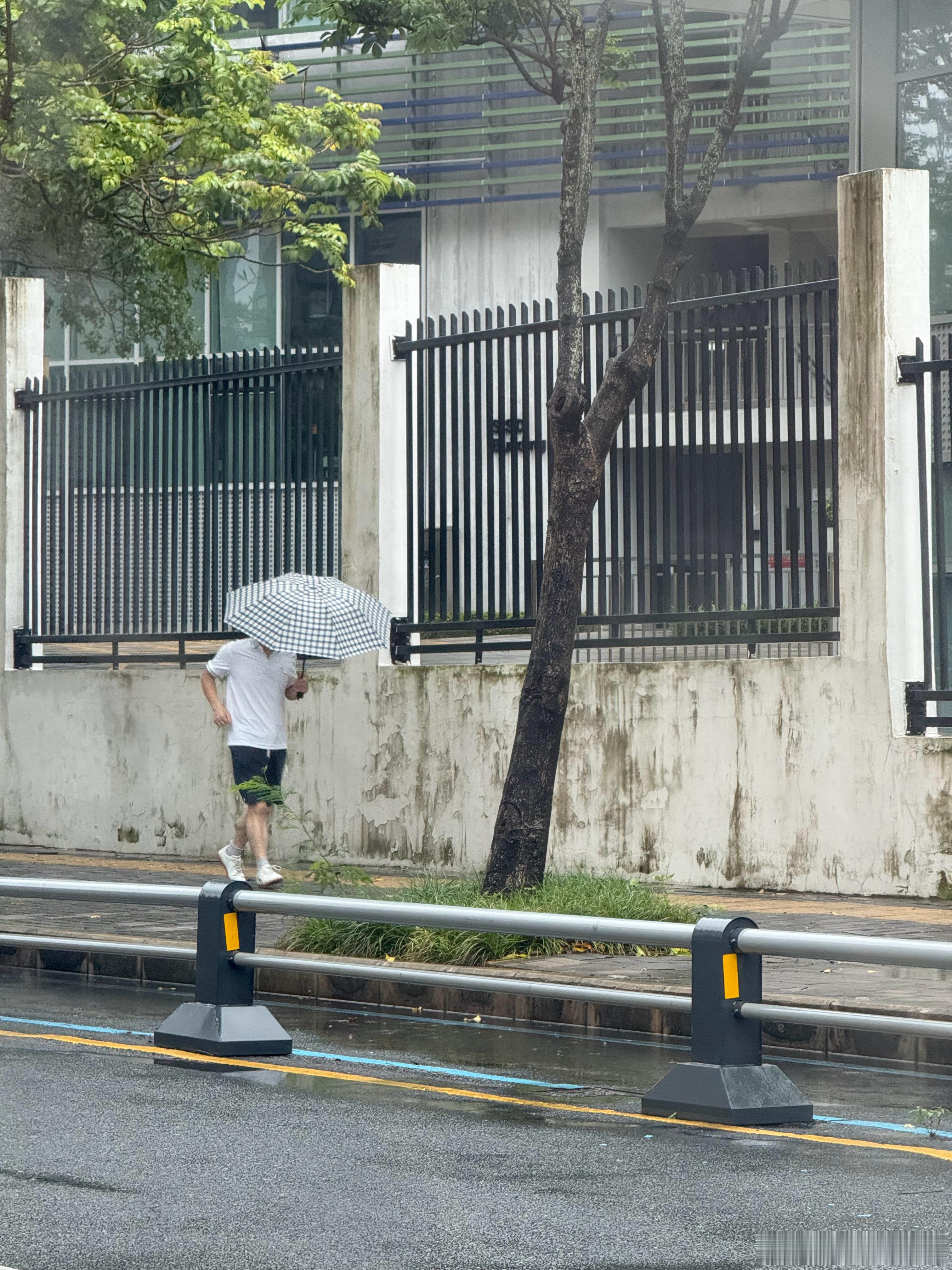 下雨天还打着伞跑步，有着毅力干啥不行，佩服！有点东西