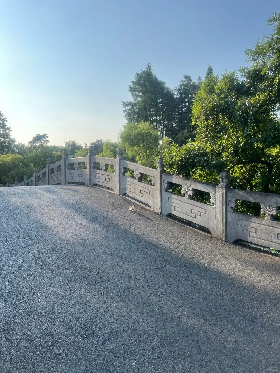 一起享受大自然的美 旅途中的美景 自然风光分享 不可错过的美景 忍不住拍照记录