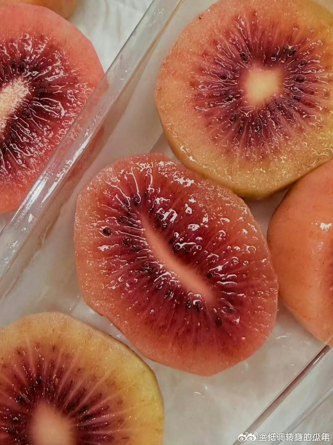 陈昊宇ins更新：四月布宁💐❤️分享生活美好