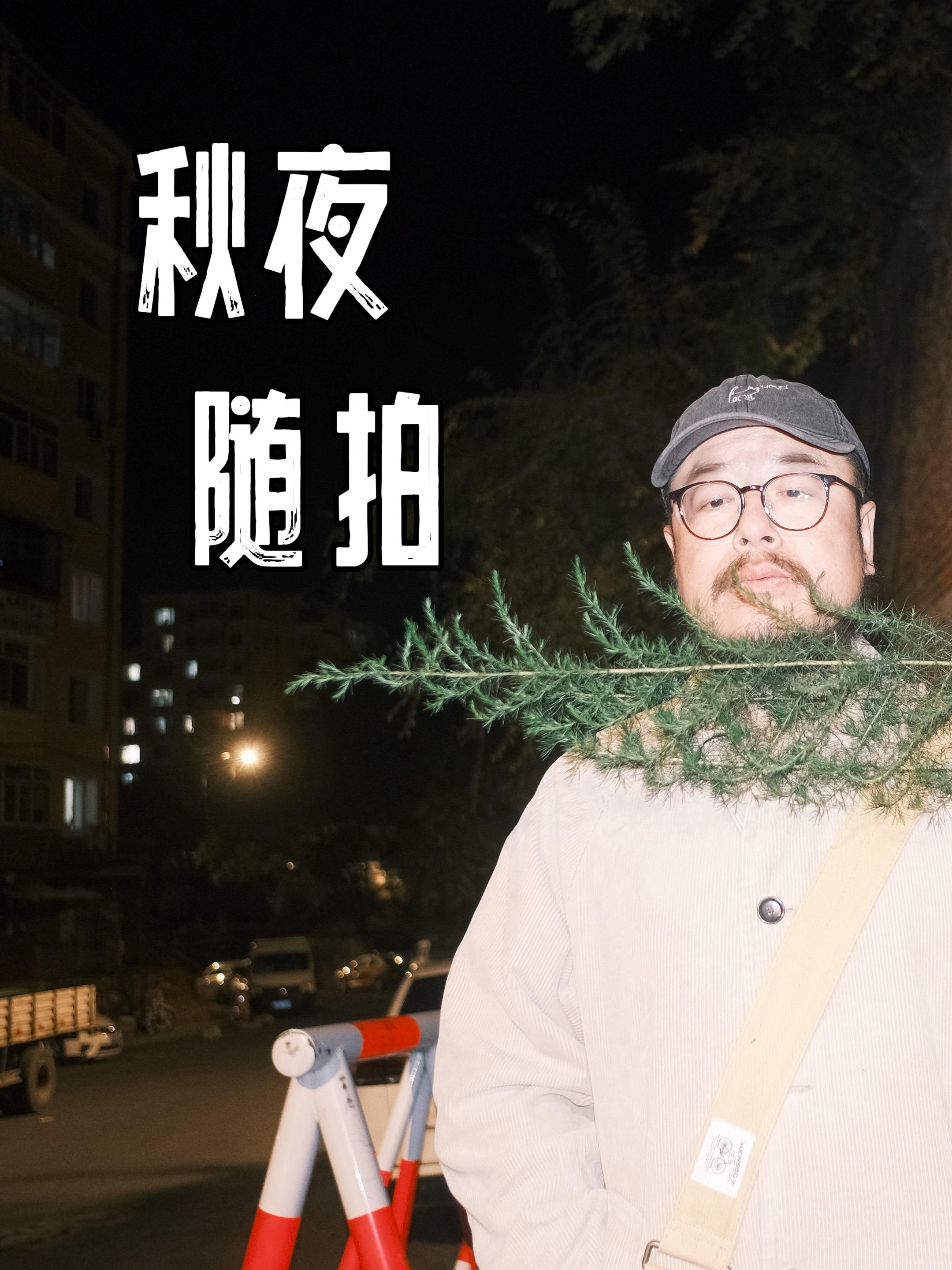 秋夜随拍，略抽象。