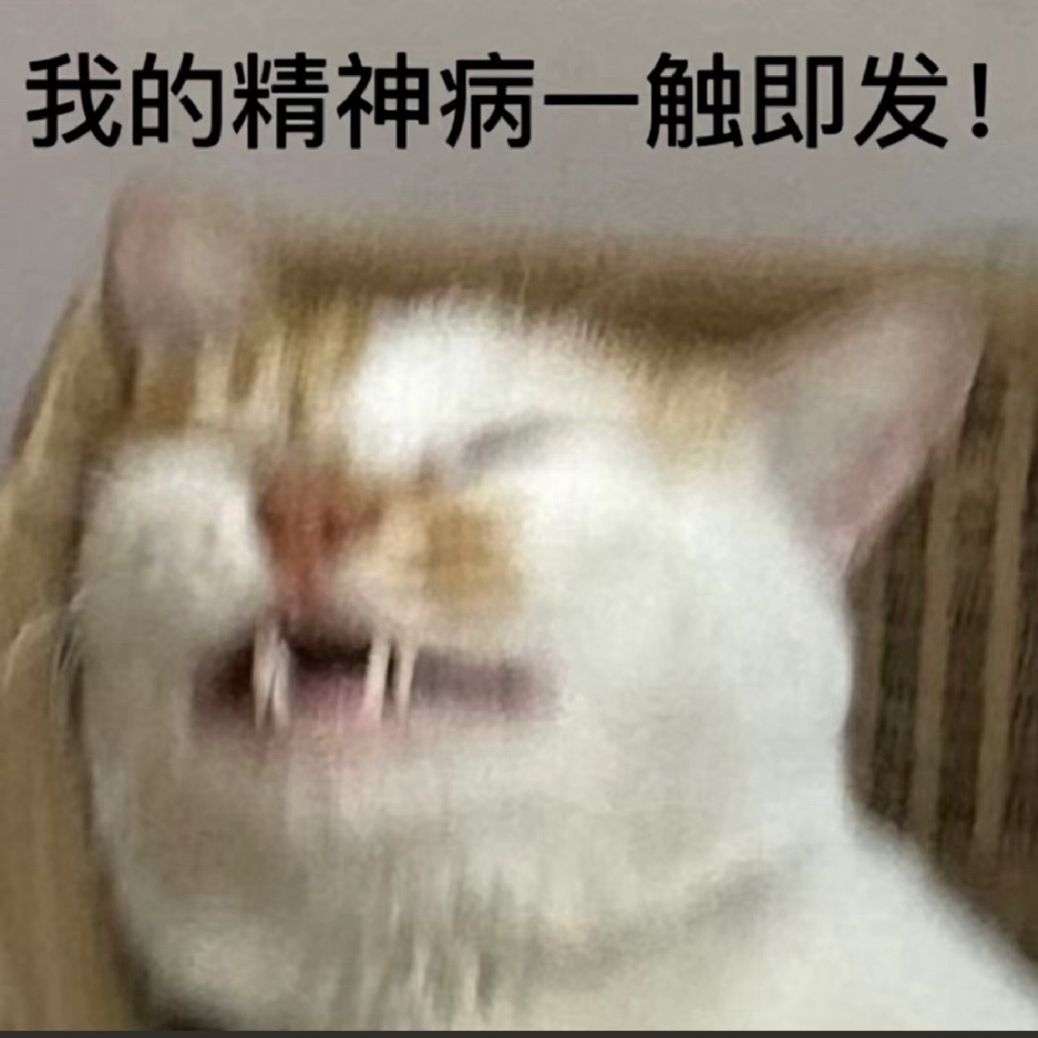 机机灵灵的上了很多当，抠抠搜搜的花了很多钱，小心翼翼的闯了很多祸，饥肠辘辘的长了