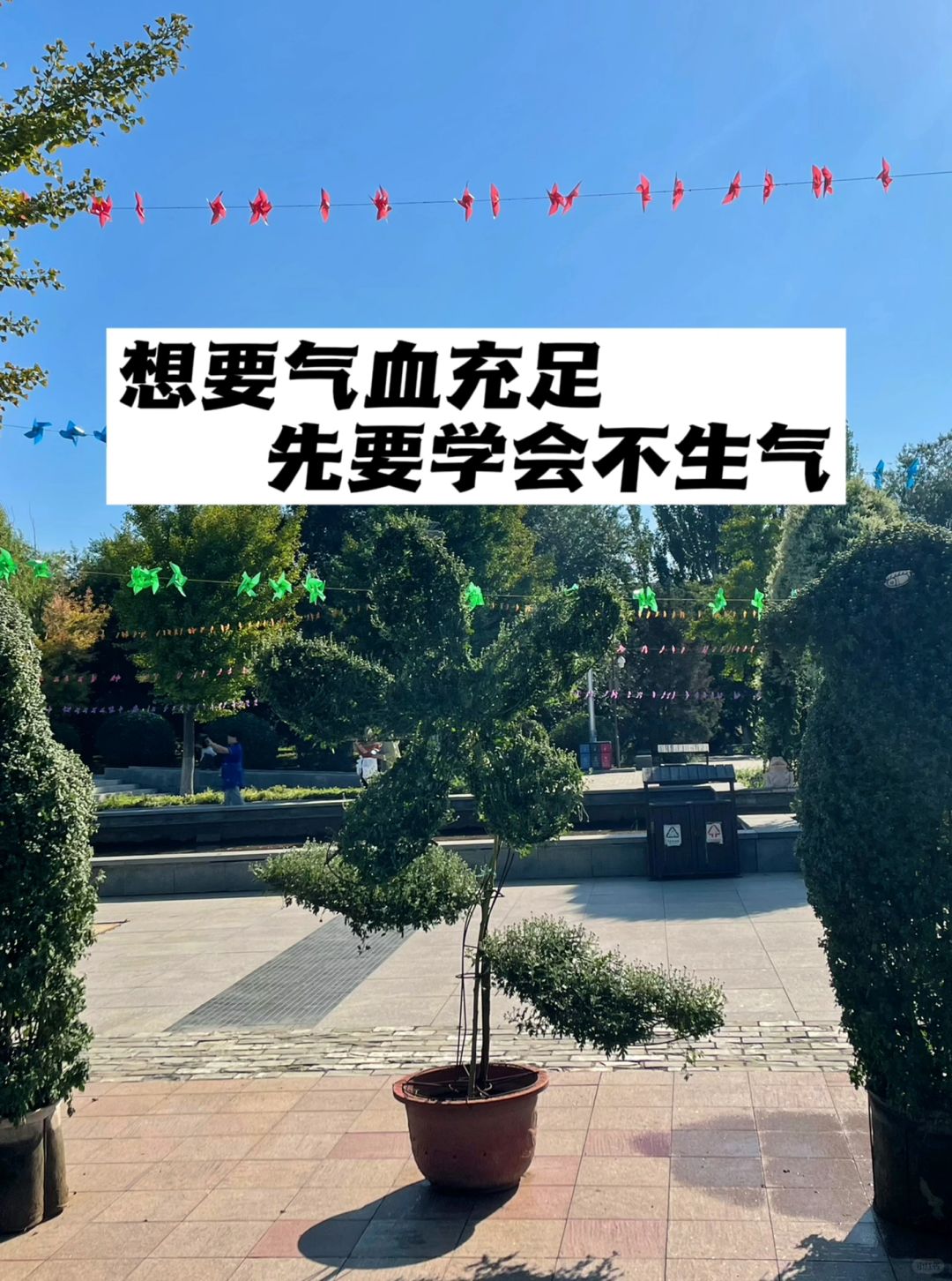 想要气血充足，先要学会不生气.