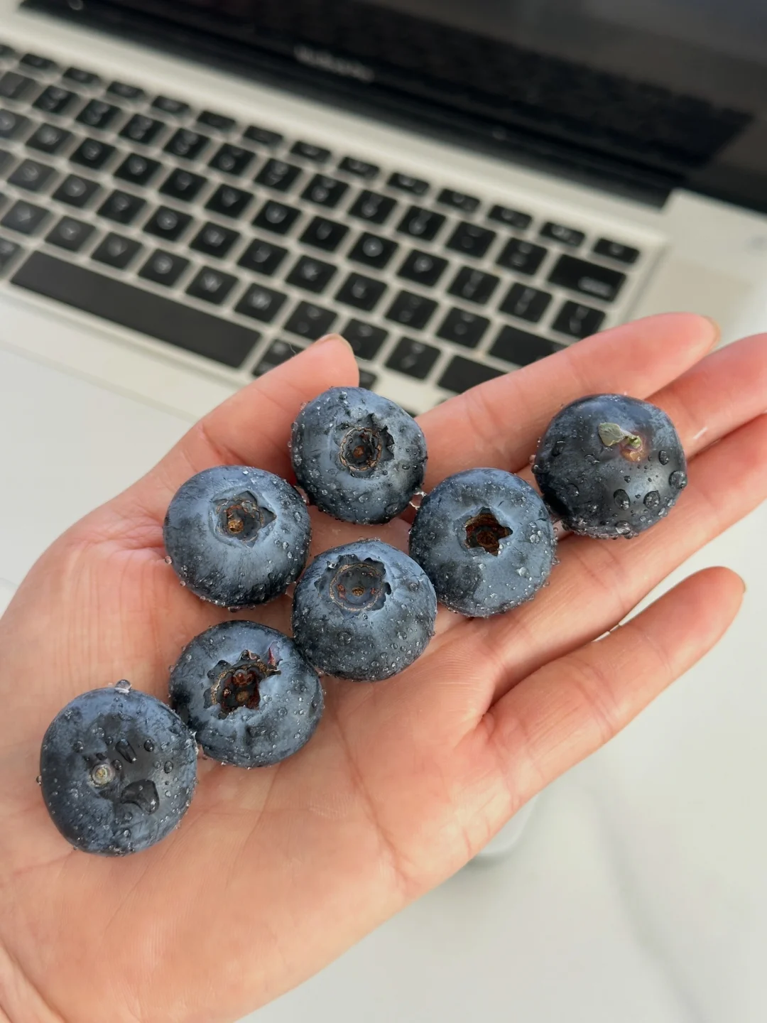 这次买的蓝莓整个办公室都在夸我太会过日子