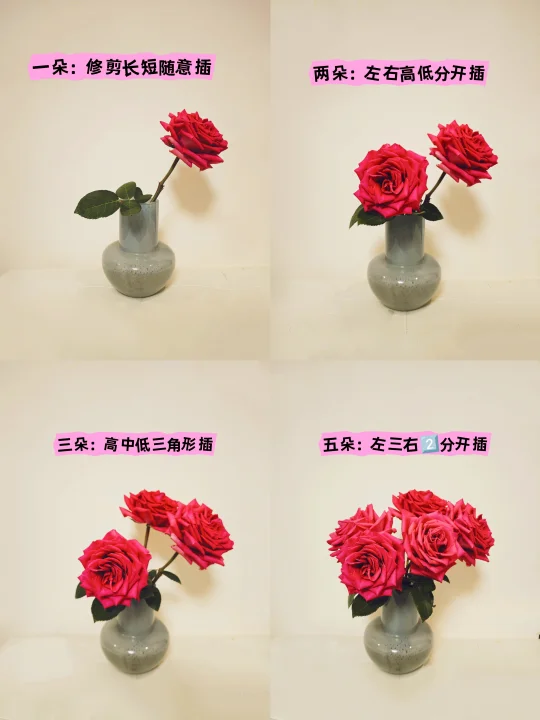 🌸万能插花口诀合集｜小白秒变大神