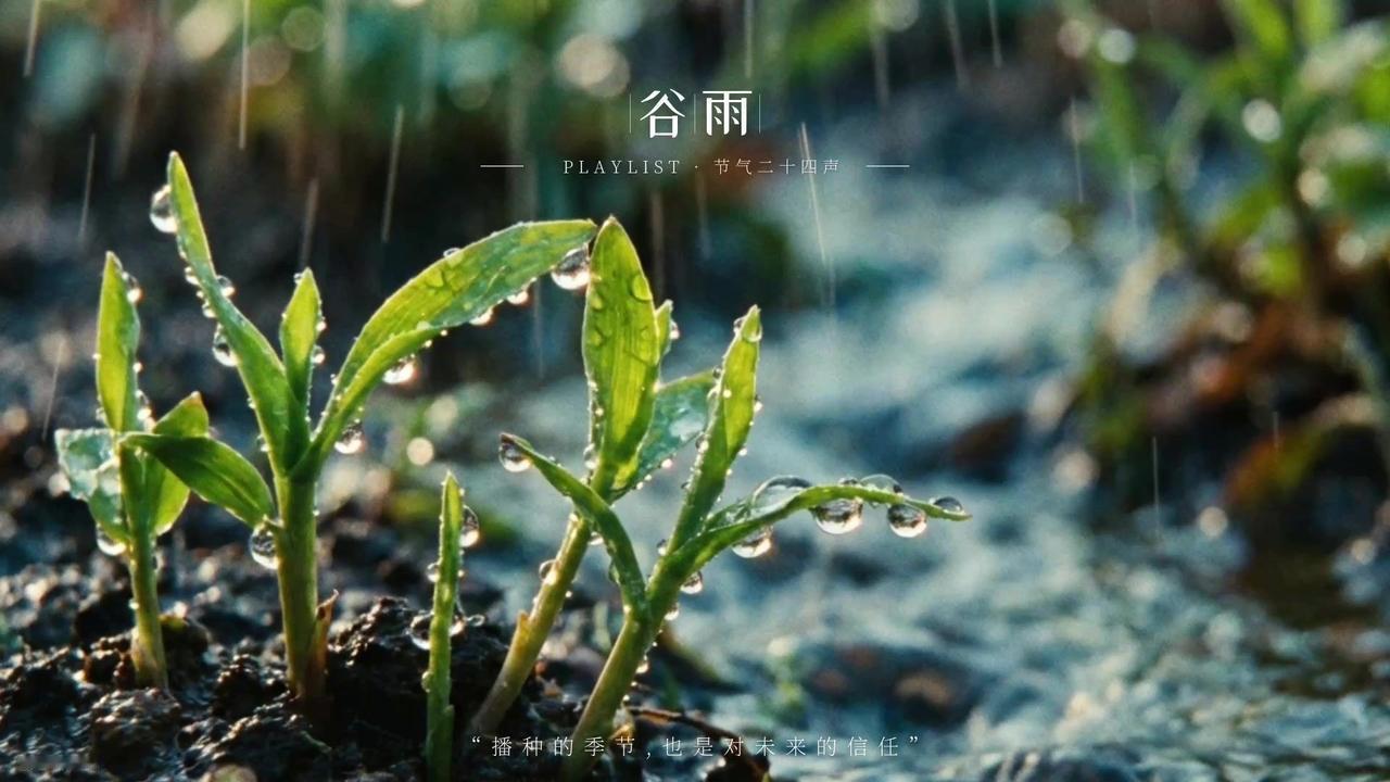 浣溪沙 · 谷雨寄远

细雨敲窗意未休，
锦书欲寄又还收。
天涯望断使人愁。
