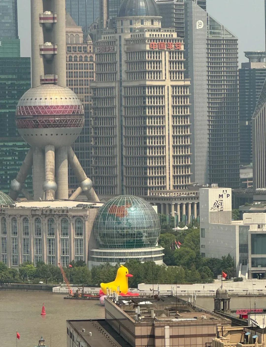 #你如何维持情绪稳定# 你看 小黄鸭，情绪拉满