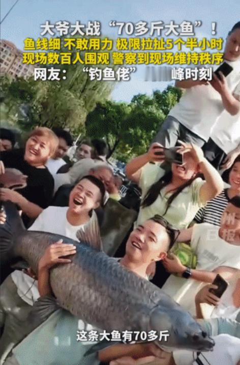 经常钓鱼的朋友都知道，野钓最诱人也最熬人的，莫过于那种充满未知数的“水下开盲盒”