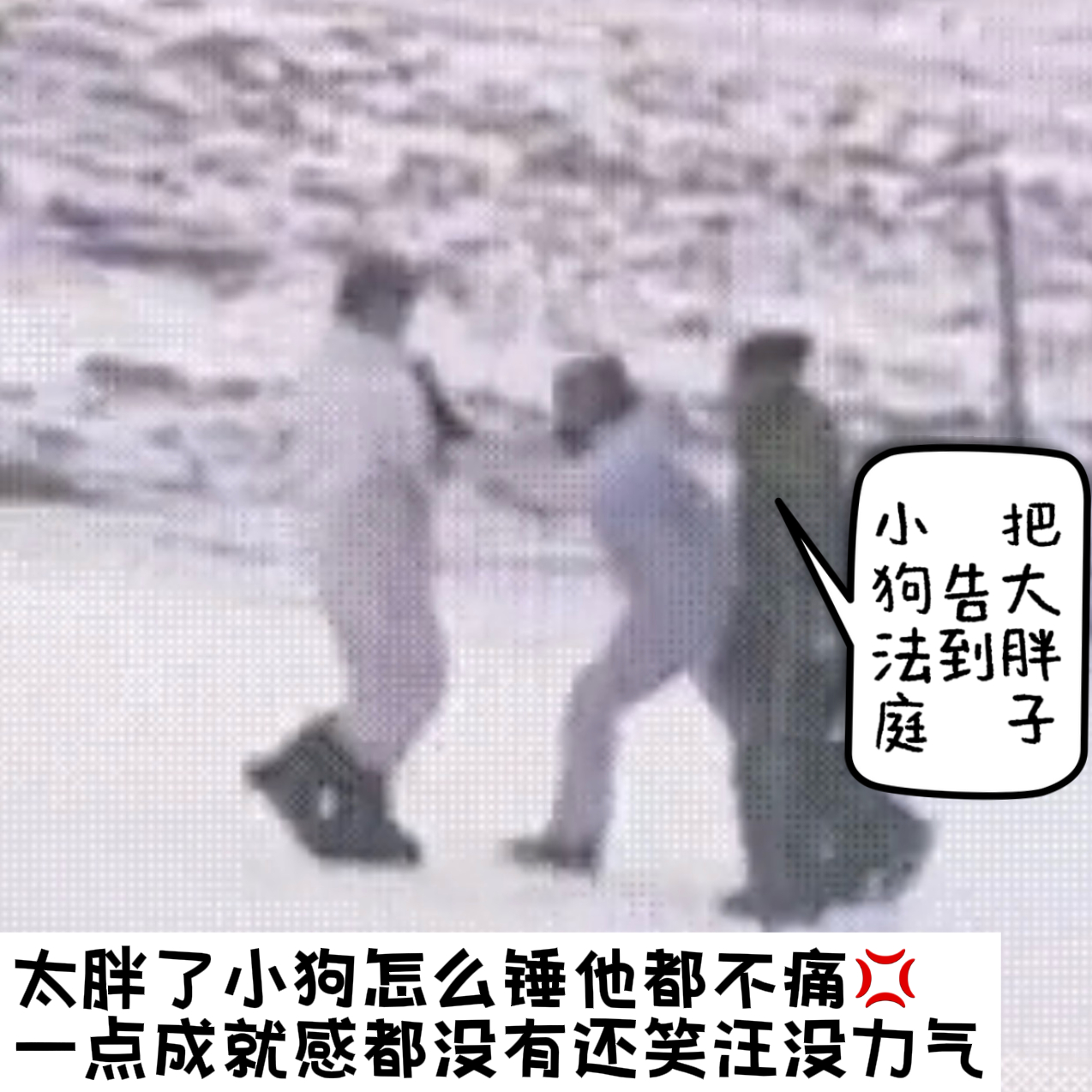 把泥们全都告小狗法庭💢 
