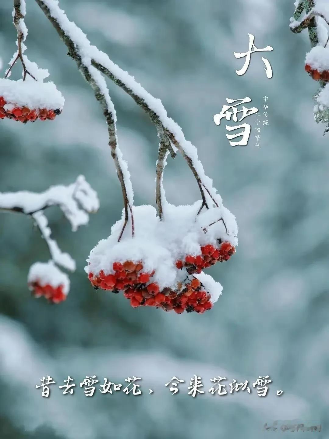 万象晓一色，皓然天地中——大雪：来自冬天，盛大之雪，皓然之心。大雪时节，愿你拥抱
