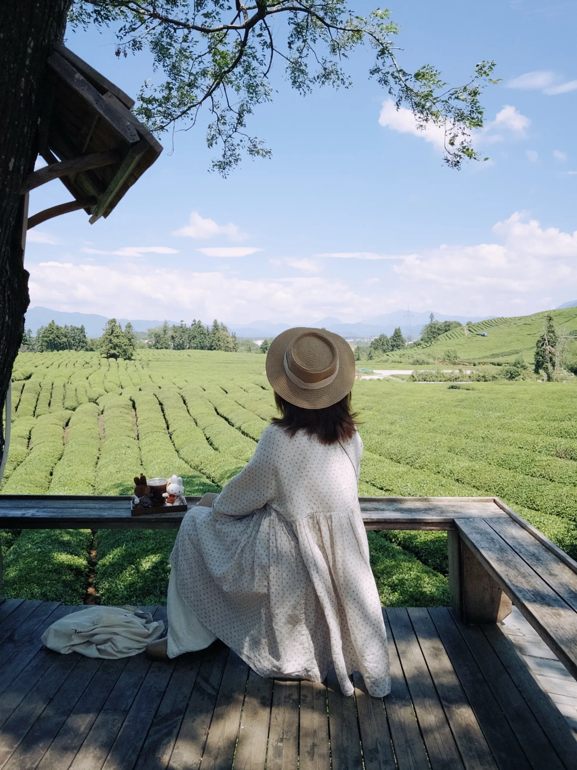 夏季与我们的生命曾是同一质地。