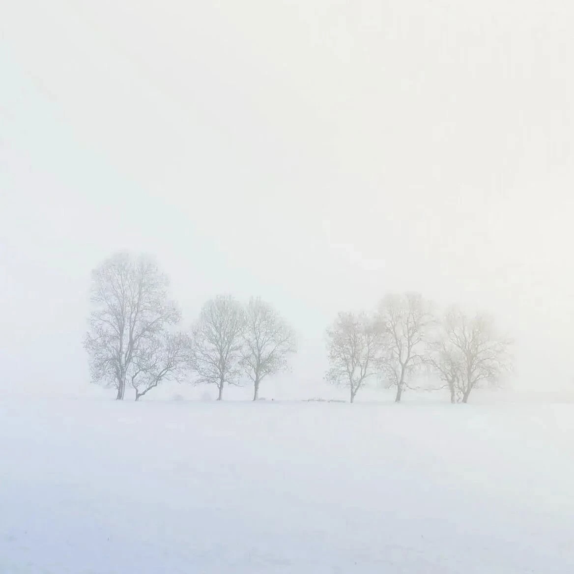 🌧️처음 보는 것은 영원이다❄️…📎蓝色系 | 剪辑素材 | 梦女剪辑素材