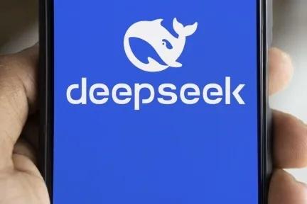 你的deepseek还能用吗？为啥我问它啥也不会回答。

到底是软件出了问题，还