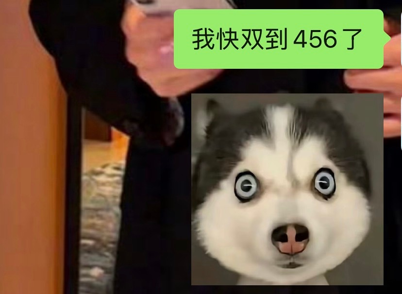 不养铁的可以直双我呀