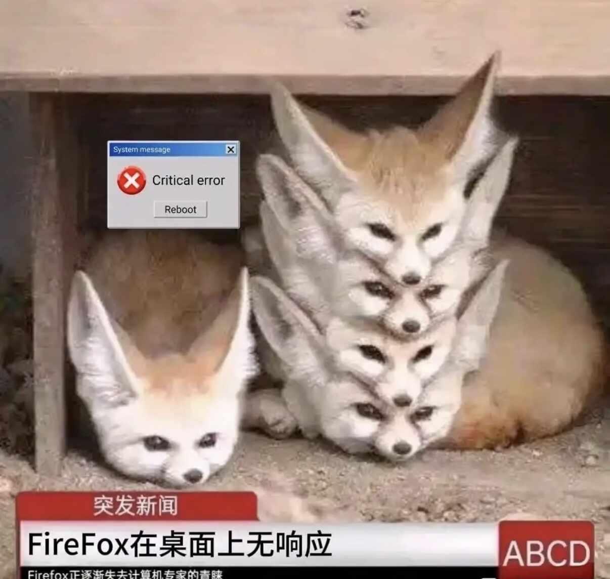 火狐在桌面上无响应
Firefox 火狐 Windows  Linux Macs