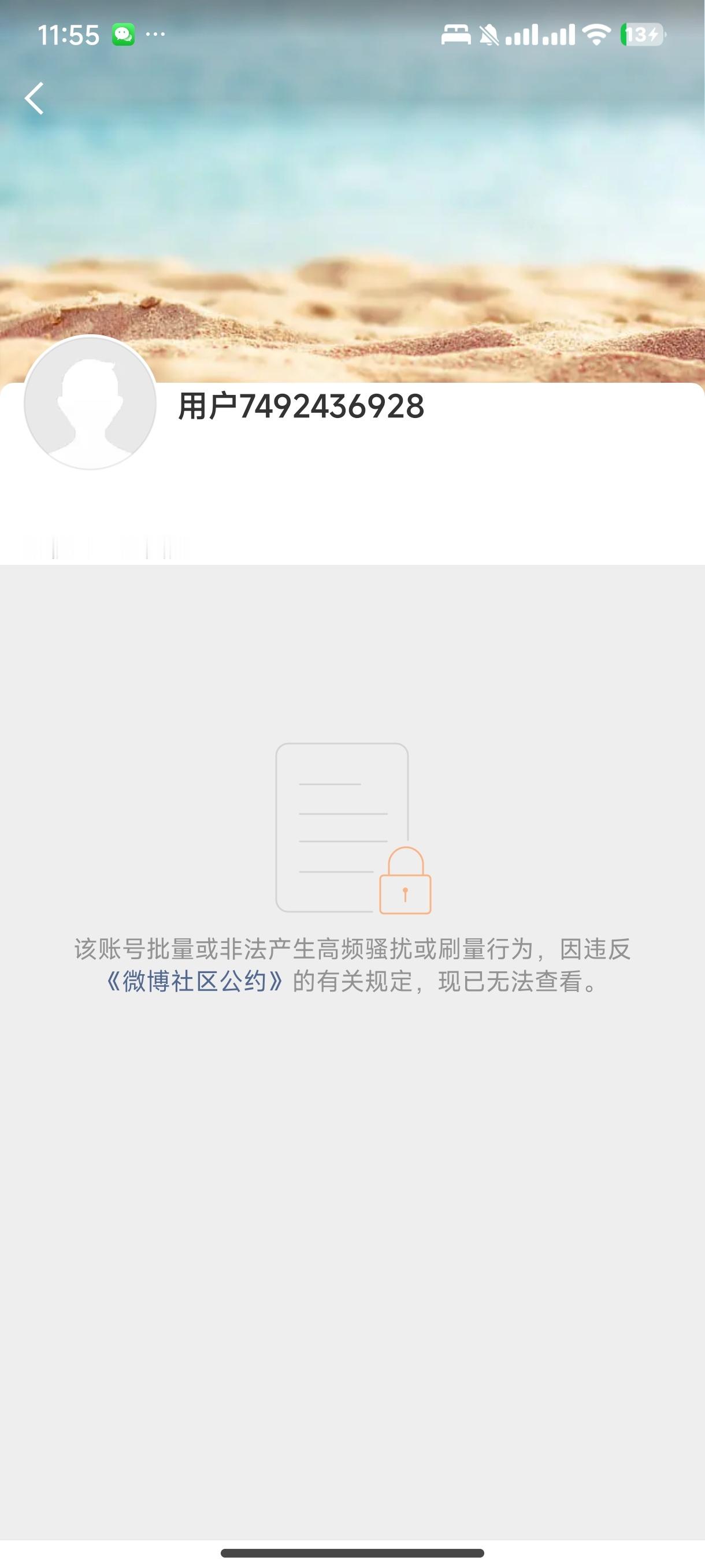 猫盒哥哥回家