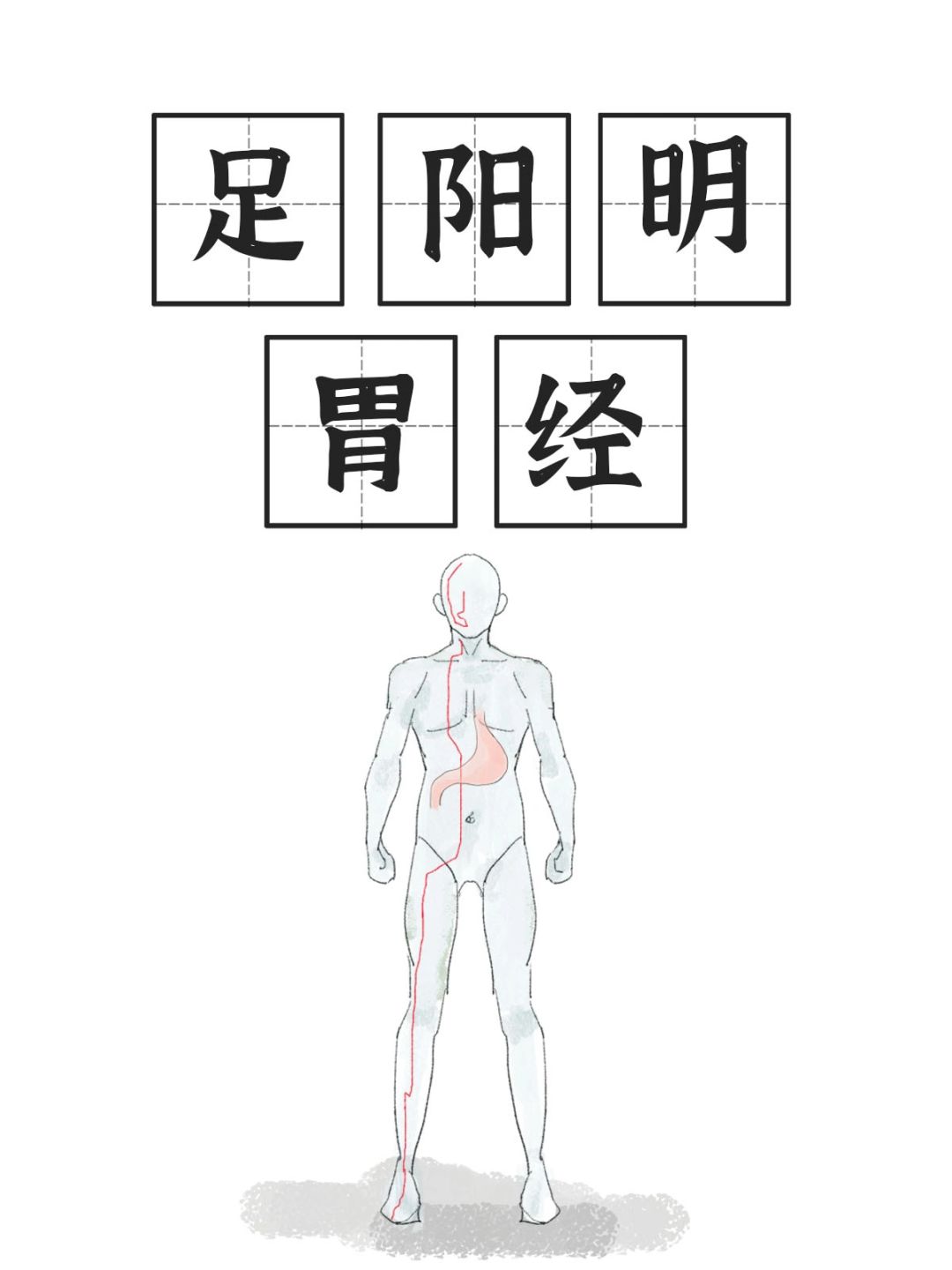 《足阳明胃经》之上巨虚/下巨虚/条口