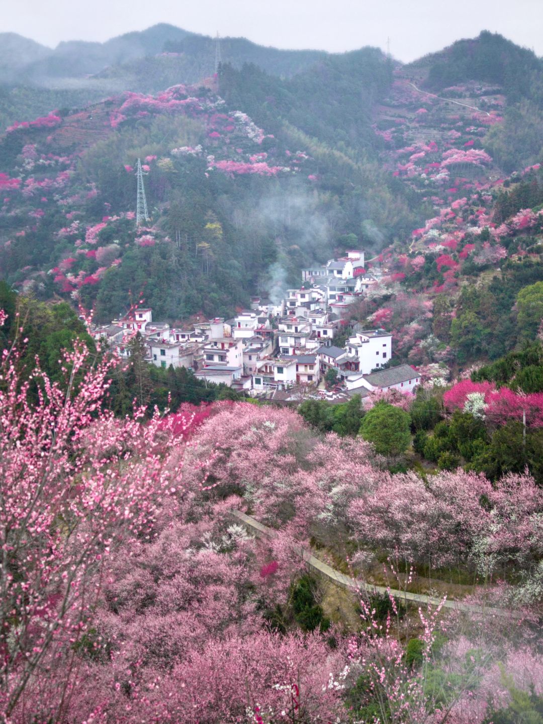 春节赏梅，这个皖南神仙村子赢麻了‼️
