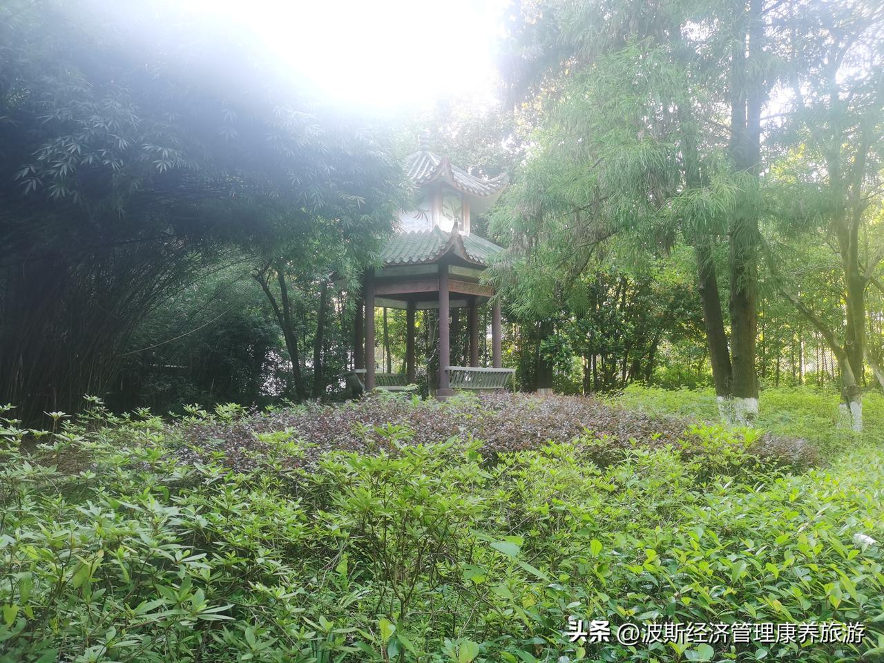 又来到了天府之国的天府机场，看到杭州的钱江大桥，又感受到了四川盆地同样的鱼米之乡