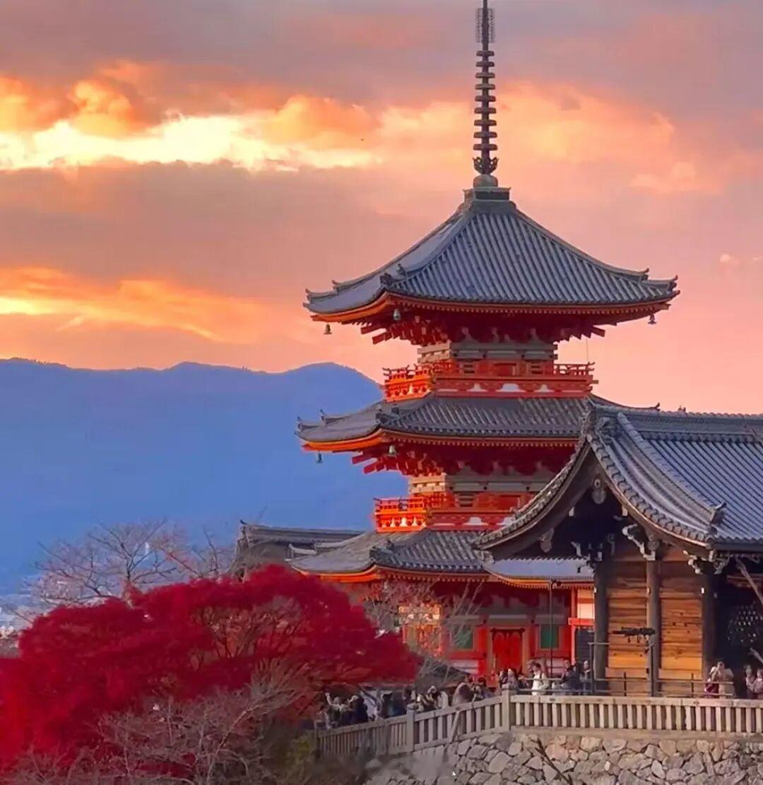 不要去日本，大家在家里看看就好了！