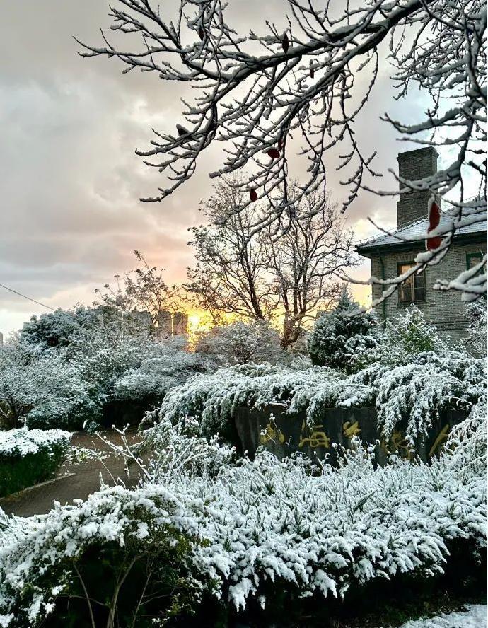 烟台、威海再迎降雪美如仙境！山东冰雪主题活动等你来嗨
12月7日，山东烟台、威海