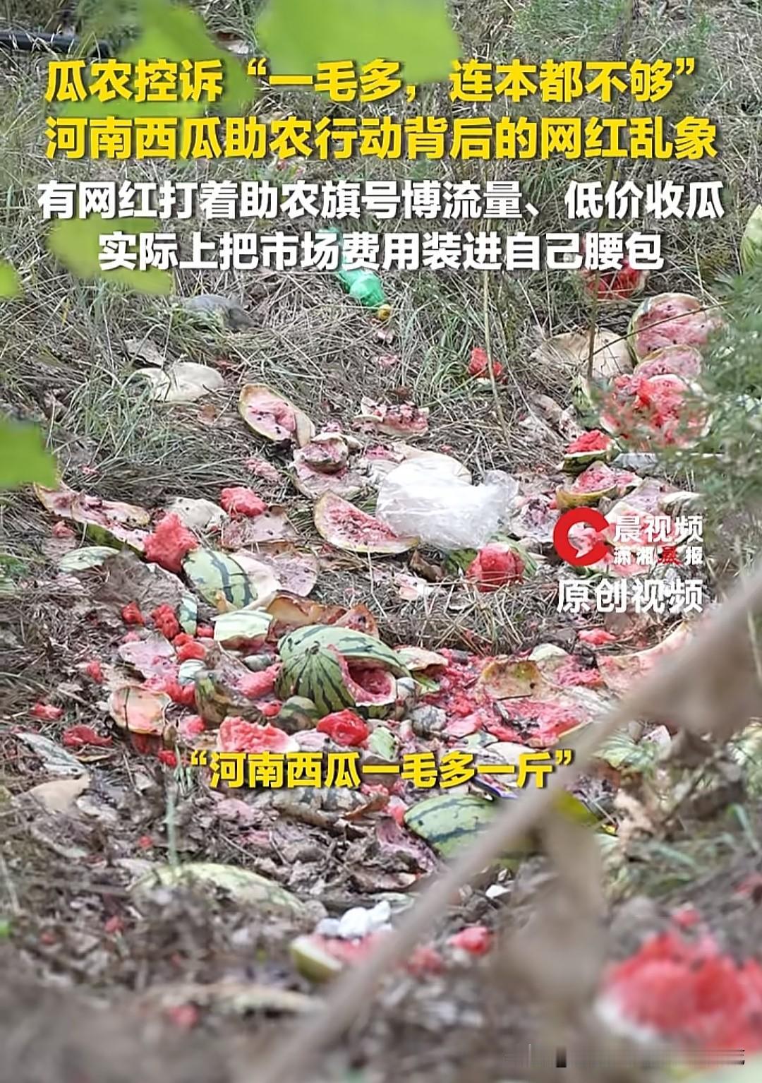 老远开着贴满“爱心助农”横幅的车扎进瓜地，先举着手机对着汗流浃背的瓜农一顿拍，镜