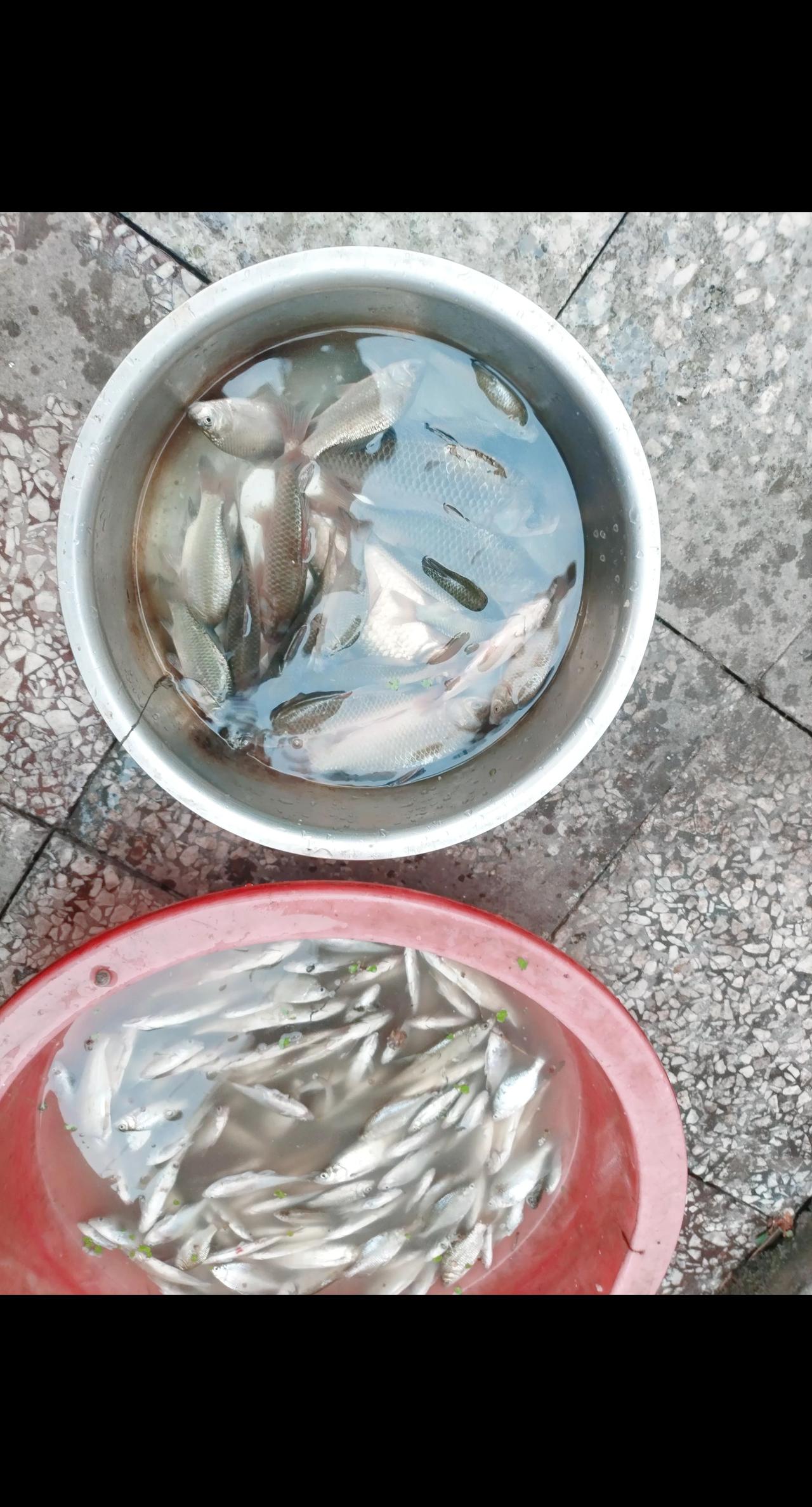 今天还行