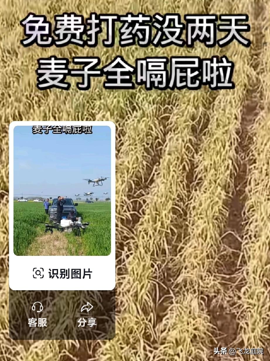 为什么专家变砖家，遭到大多数人的嘲讽？为什么他们的建议往往违背民意，常理，公序良