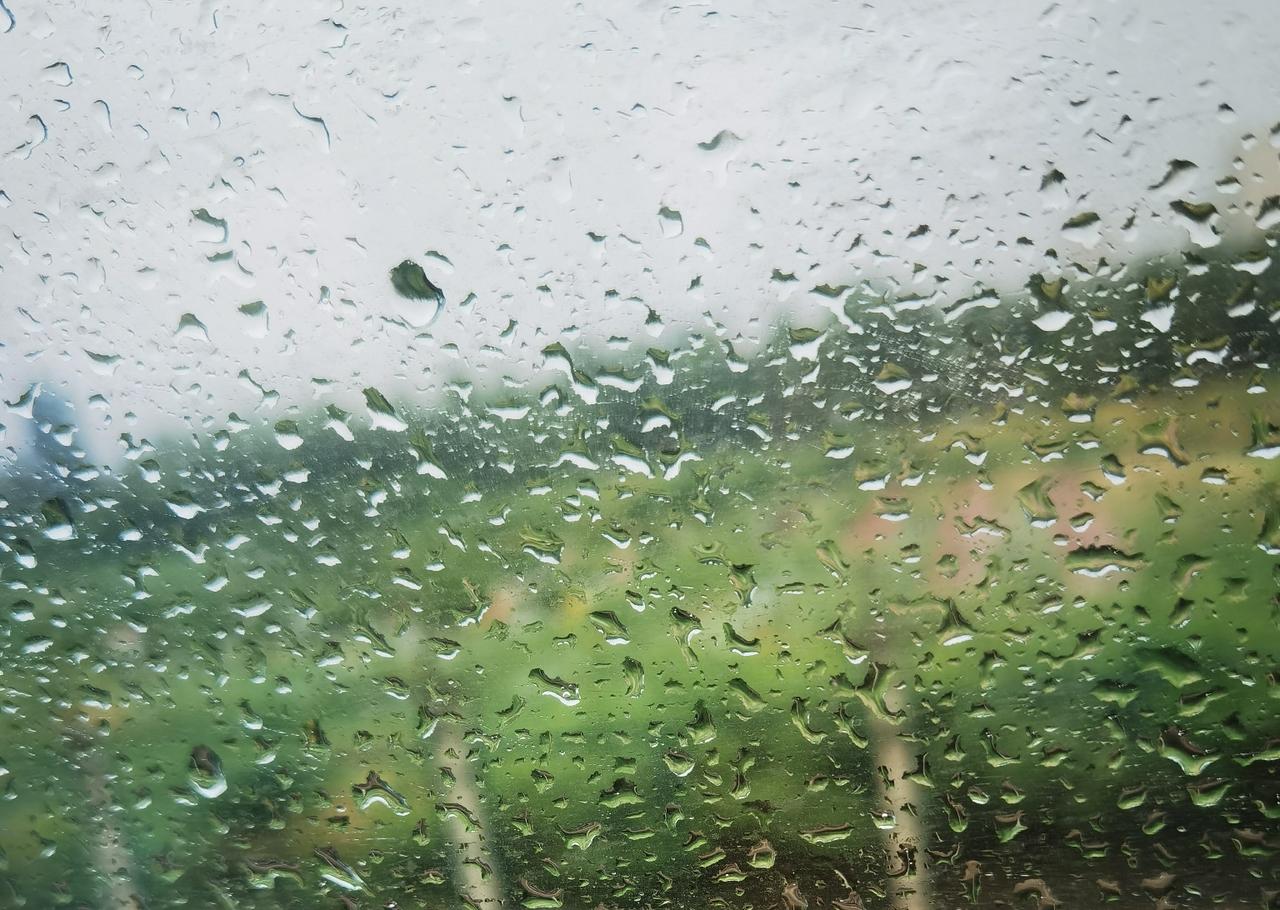 又又又下雨了，唉！