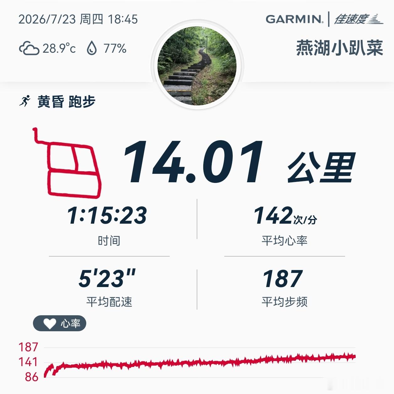 跑步 运动打卡Day384热辣滚烫的夏天，热爱运动的我们 