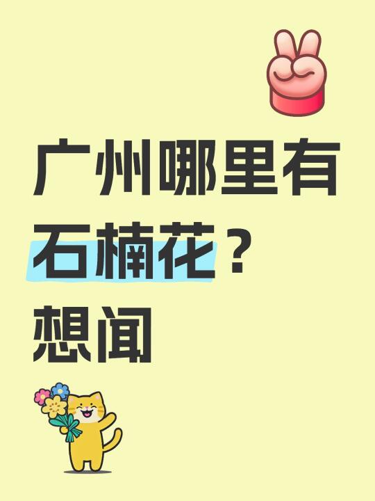 广州哪里有石楠花？想闻一闻到底是什么味道