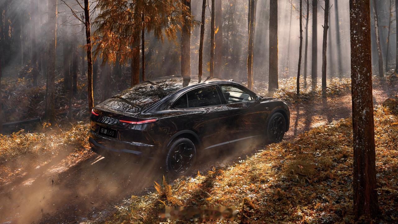 乐观官号刚发布的一组乐道L60黑骑士大五座布局，限量666台将于12月5日上市即