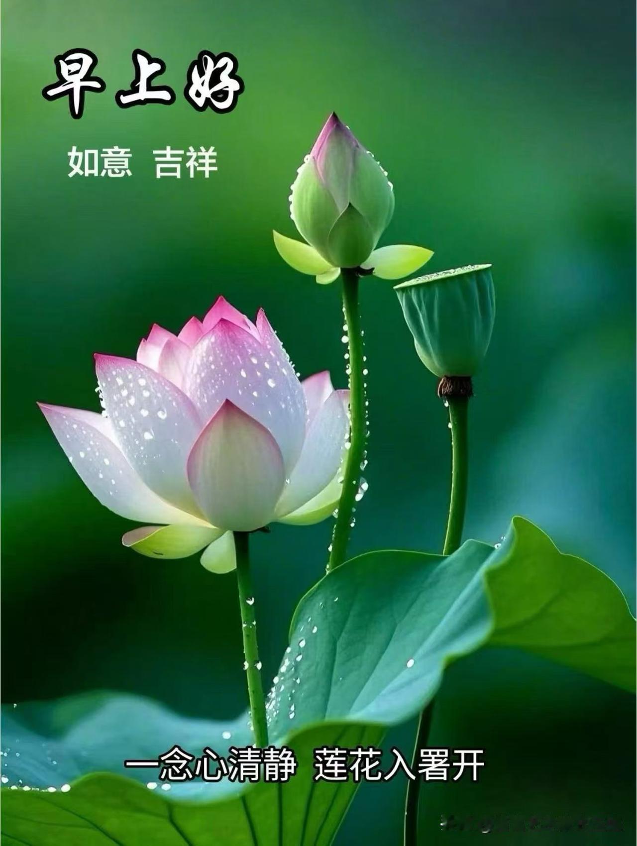 首富艺术家武玉强娓娓道来：俄罗斯会接受欧盟的石油价格上限吗？答案早写在普京总统令