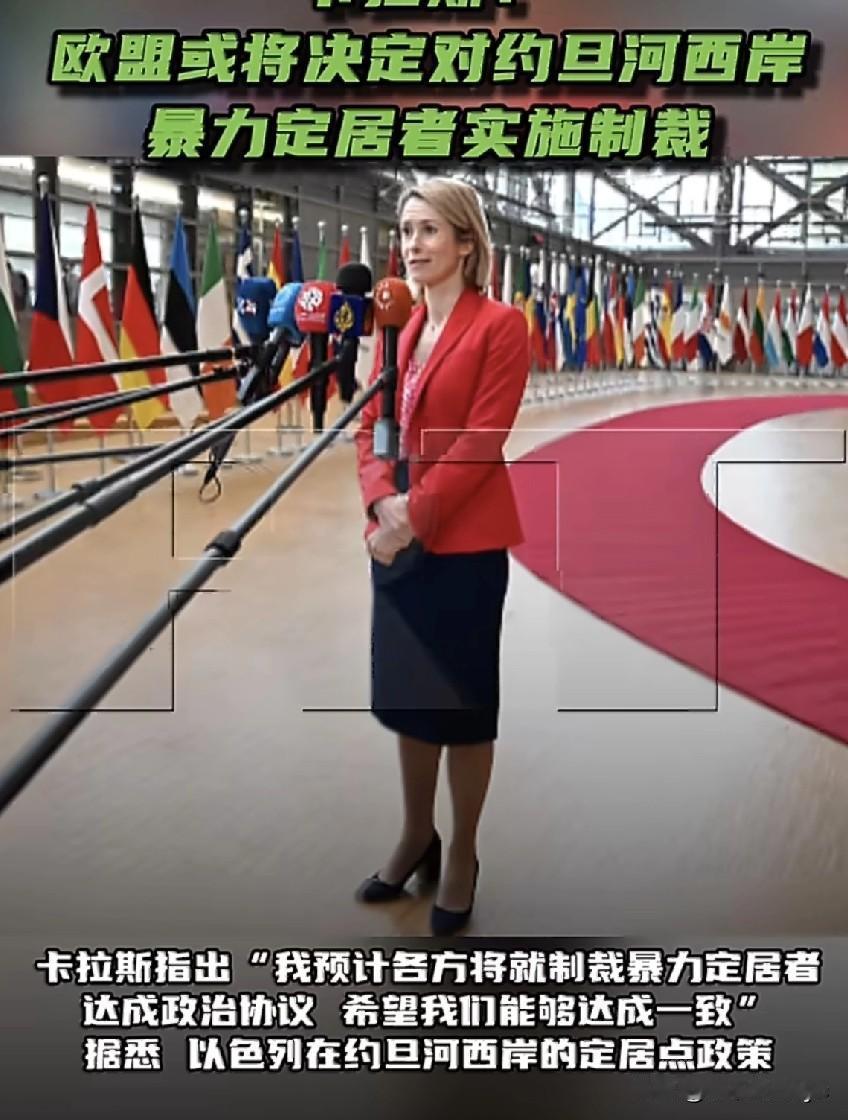 RT报道，5月11日，欧盟外交与安全政策高级代表卡拉斯在布鲁塞尔举行的欧盟各成员