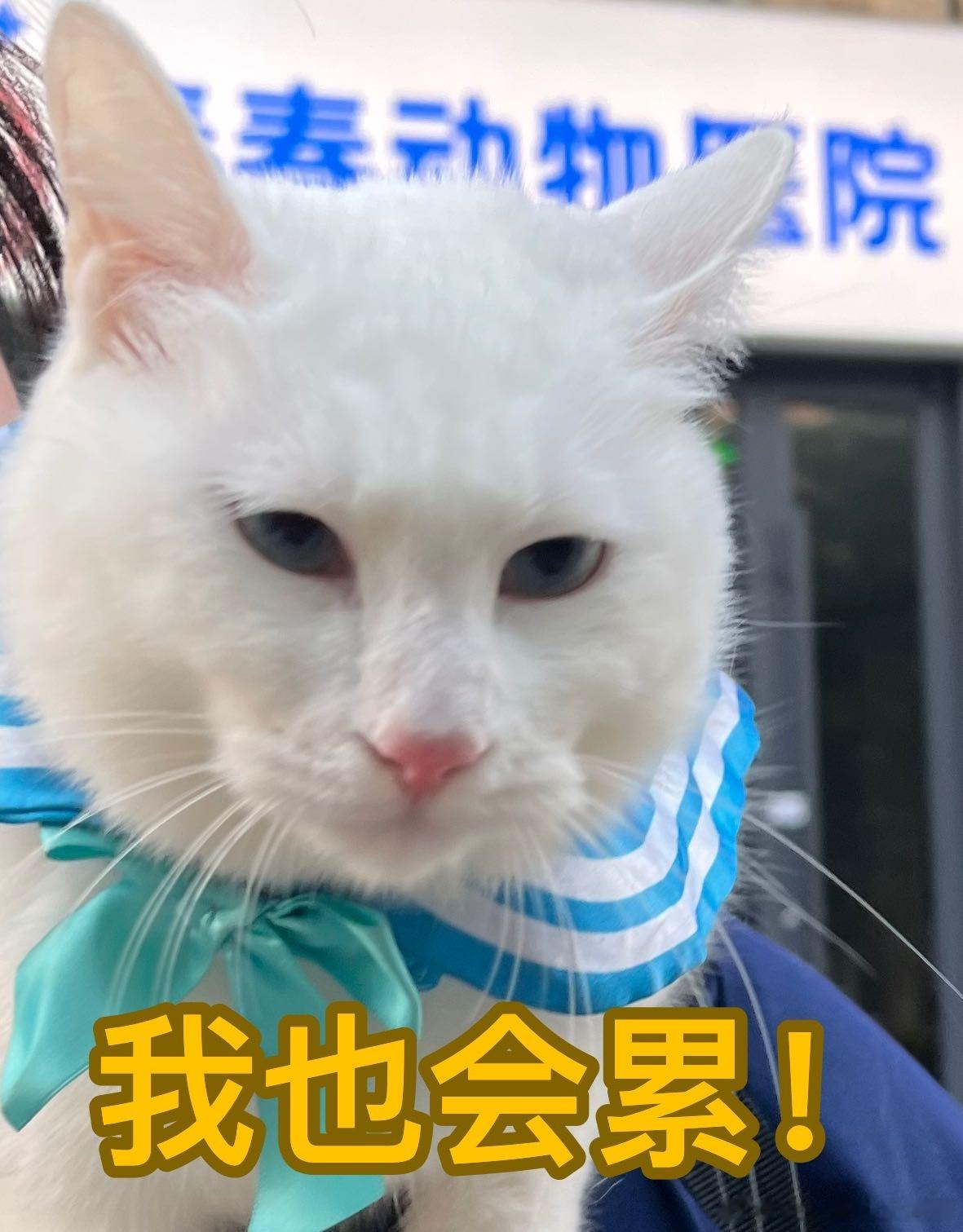 分享图片 ​​​
